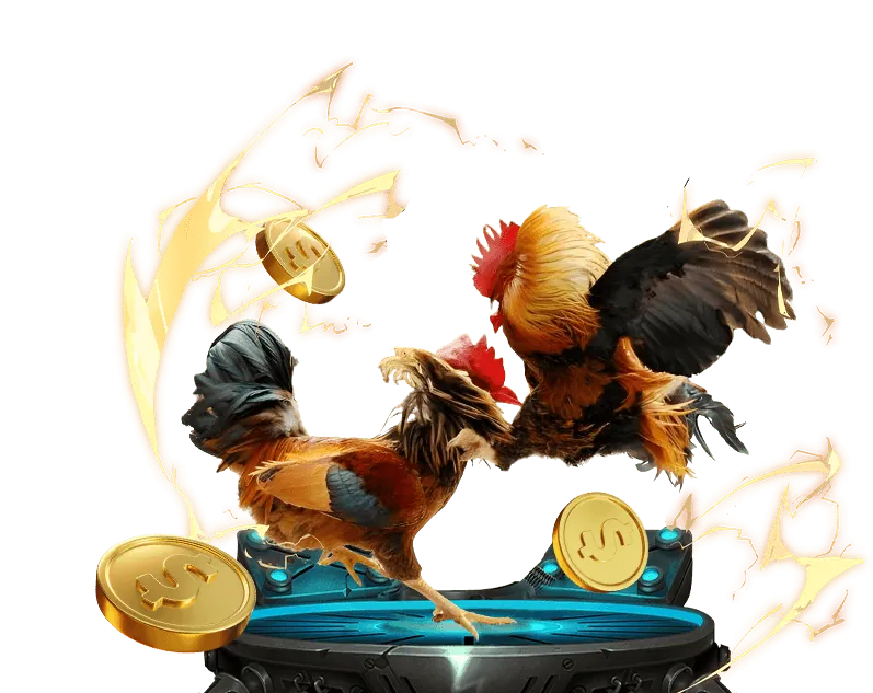 Các chương trình khuyến mãi và ưu đãi độc quyền